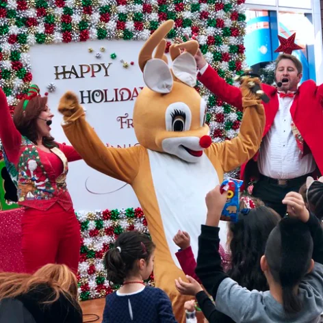 Character & Themed Performer